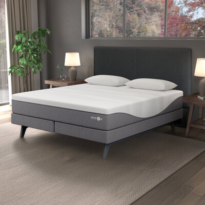 ninTEIJIN SLEEP OPTIMIZER™ 3 in 1 BED もう寝室は不要】テイジンが考える次世代寝具！マットレス・布団・枕が