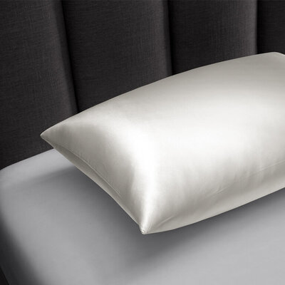 sleep number pillow cases