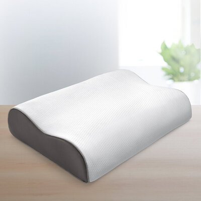 https://www.sleepnumber.com/product_images/true-temp-pillow/5f628185b16692001991f99a/detail.jpg?c=1600291205